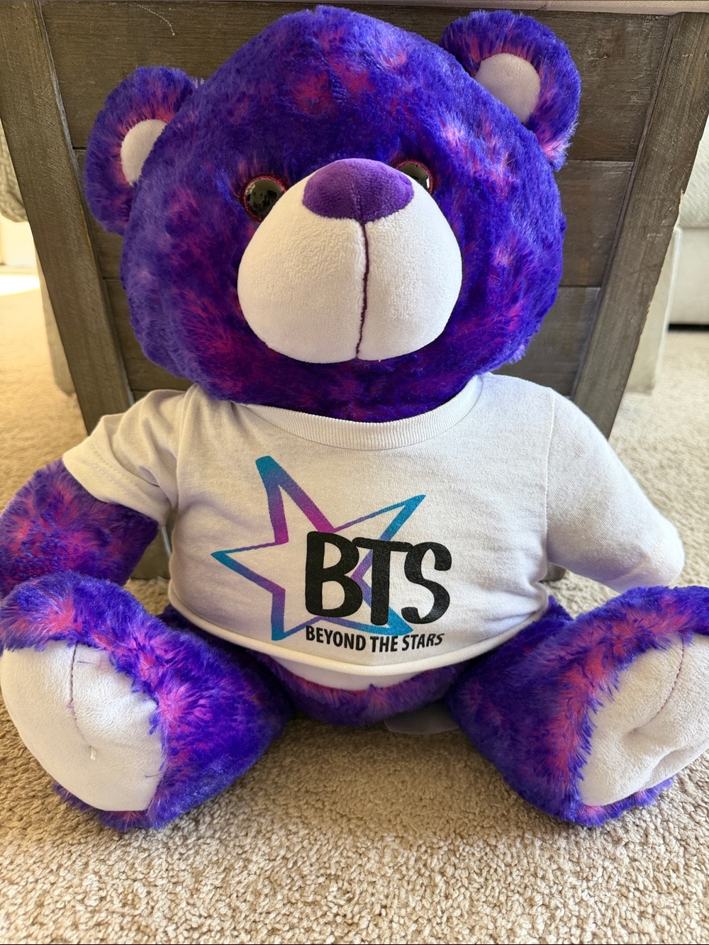 Fiesta Purple Plush Bear with White BTS Shirt

Approximately 16 Inches
